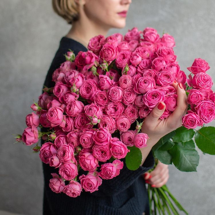 Картинка Роза кустовая Жизель Кения