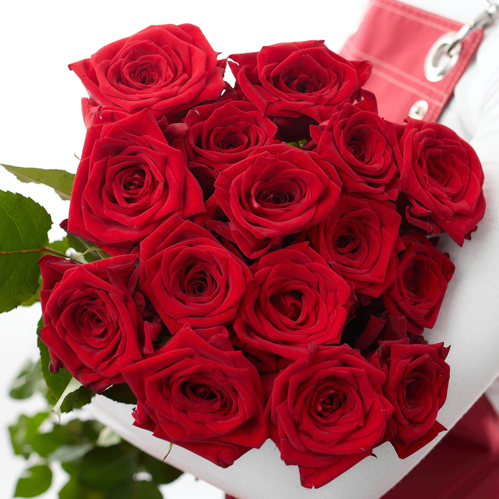 Картинка Роза Скайворд