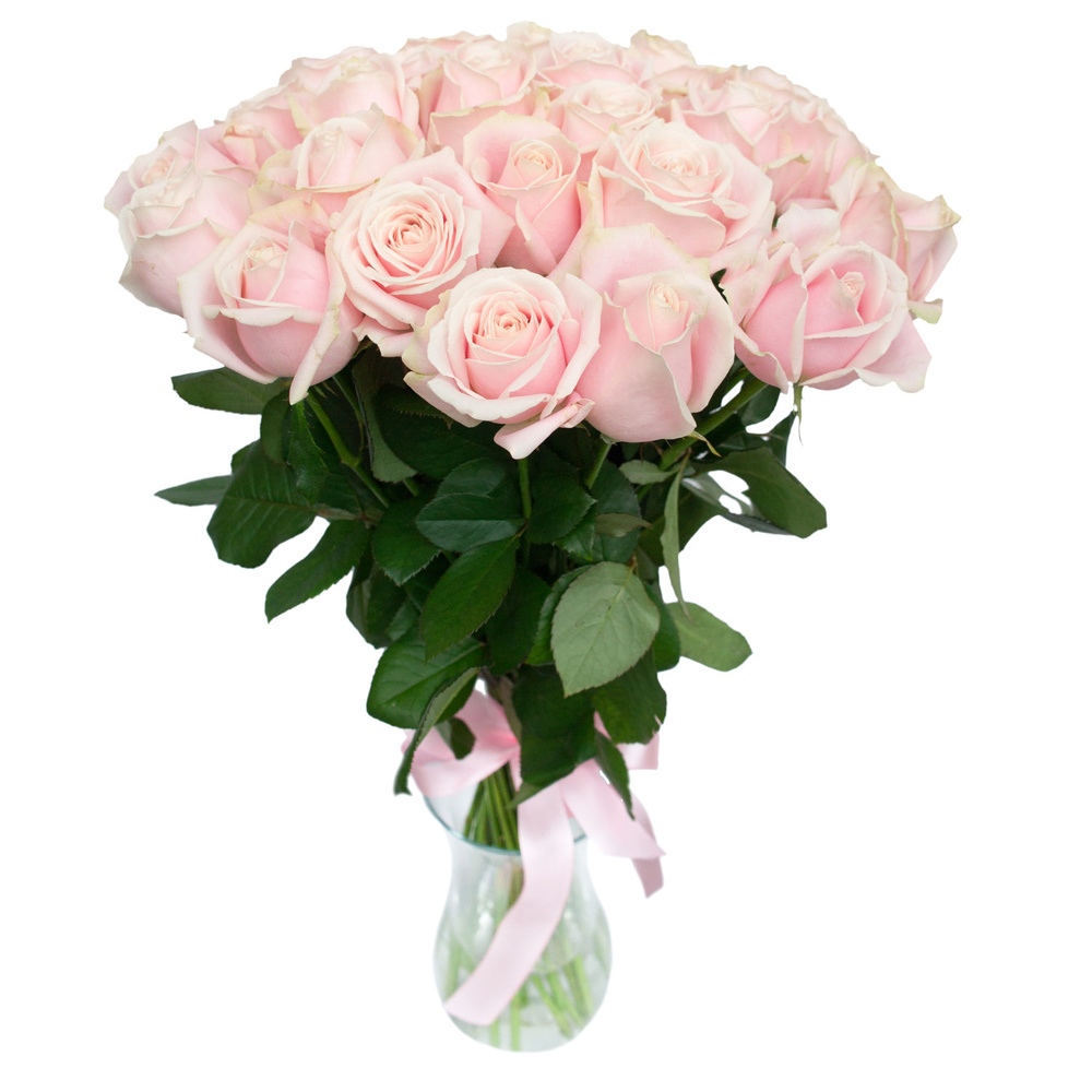 Картинка Роза Свит Аваланж