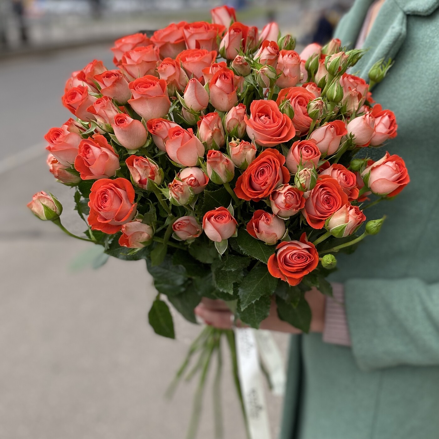 Картинка Роза кустовая Задик Кения