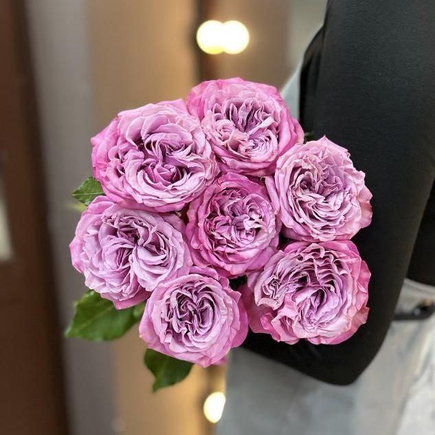 Картинка Роза Квинс Краун