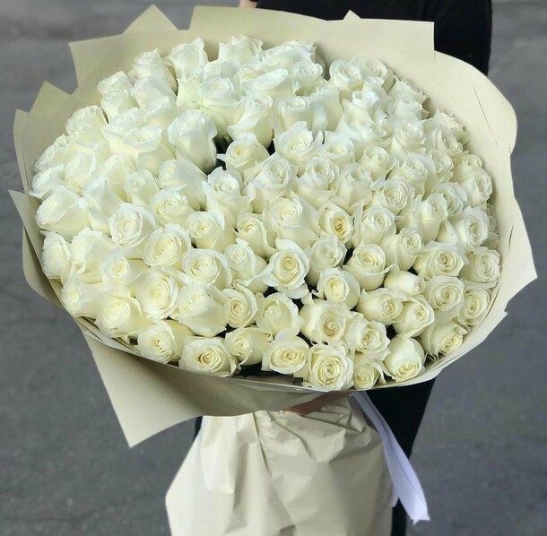 Картинка Роза Прауд