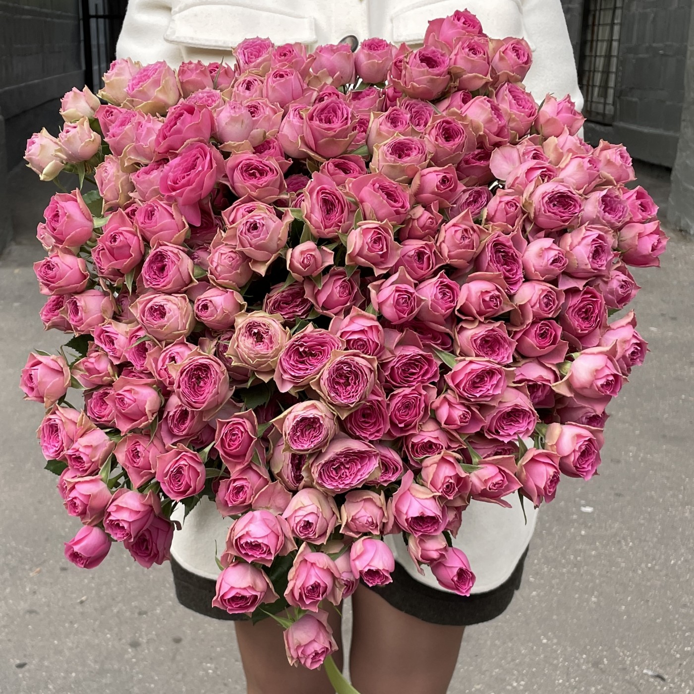 Картинка Роза кустовая Пинк Бижу