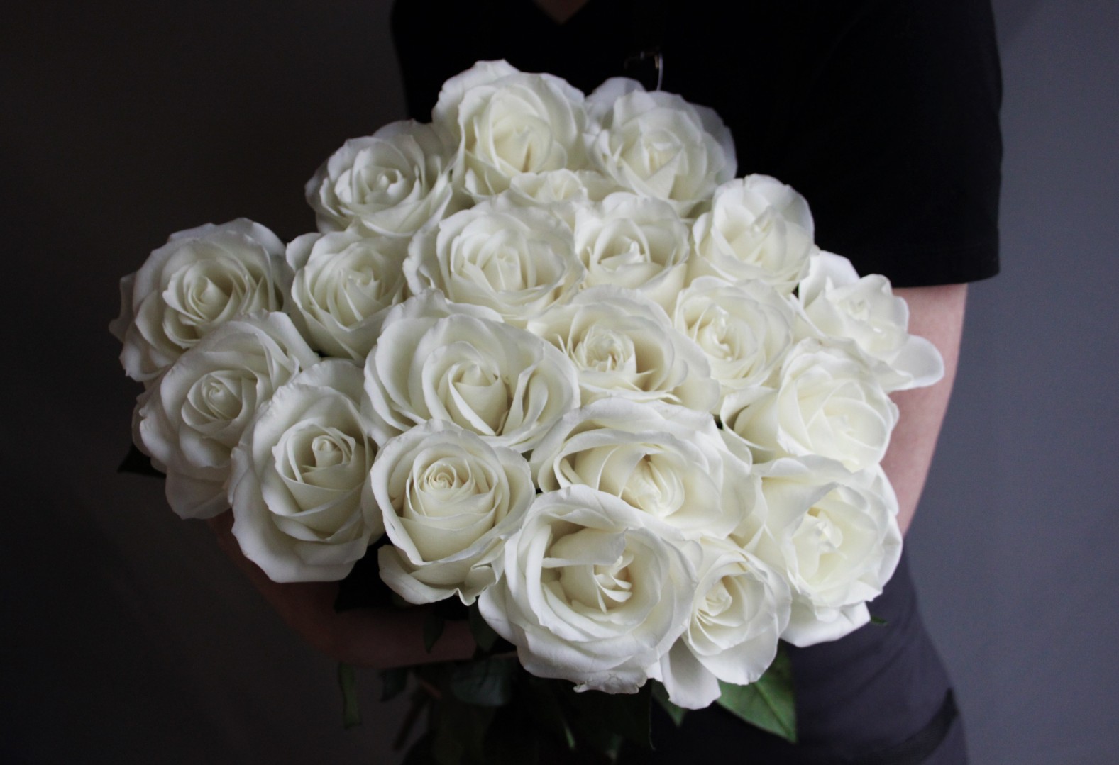 Картинка Роза Тибет