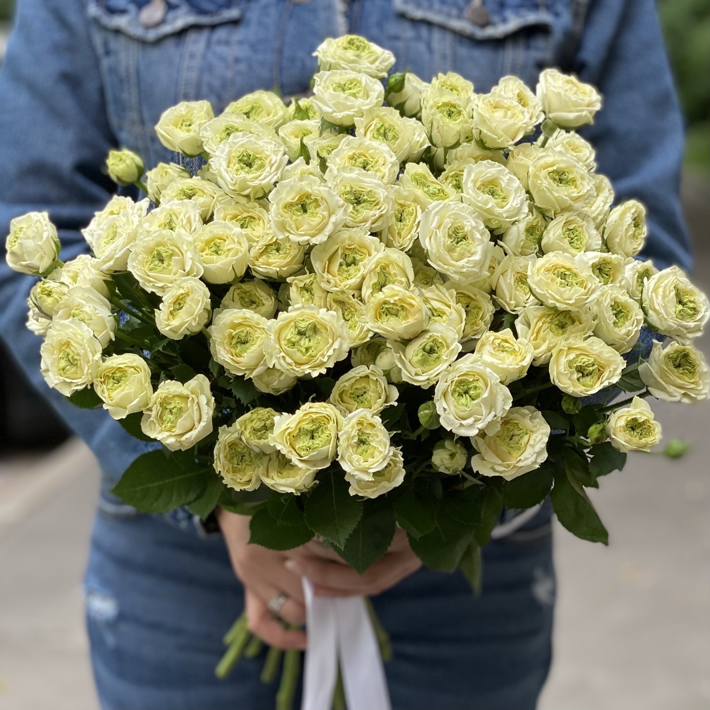 Картинка Роза кустовая Эмиральд Квин Кения