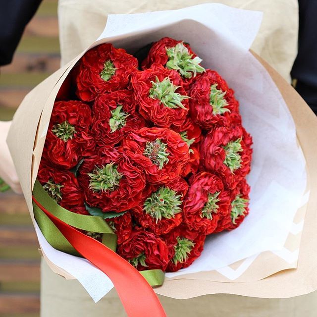 Картинка Роза Ред Ай