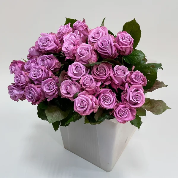 Картинка Роза Маритим