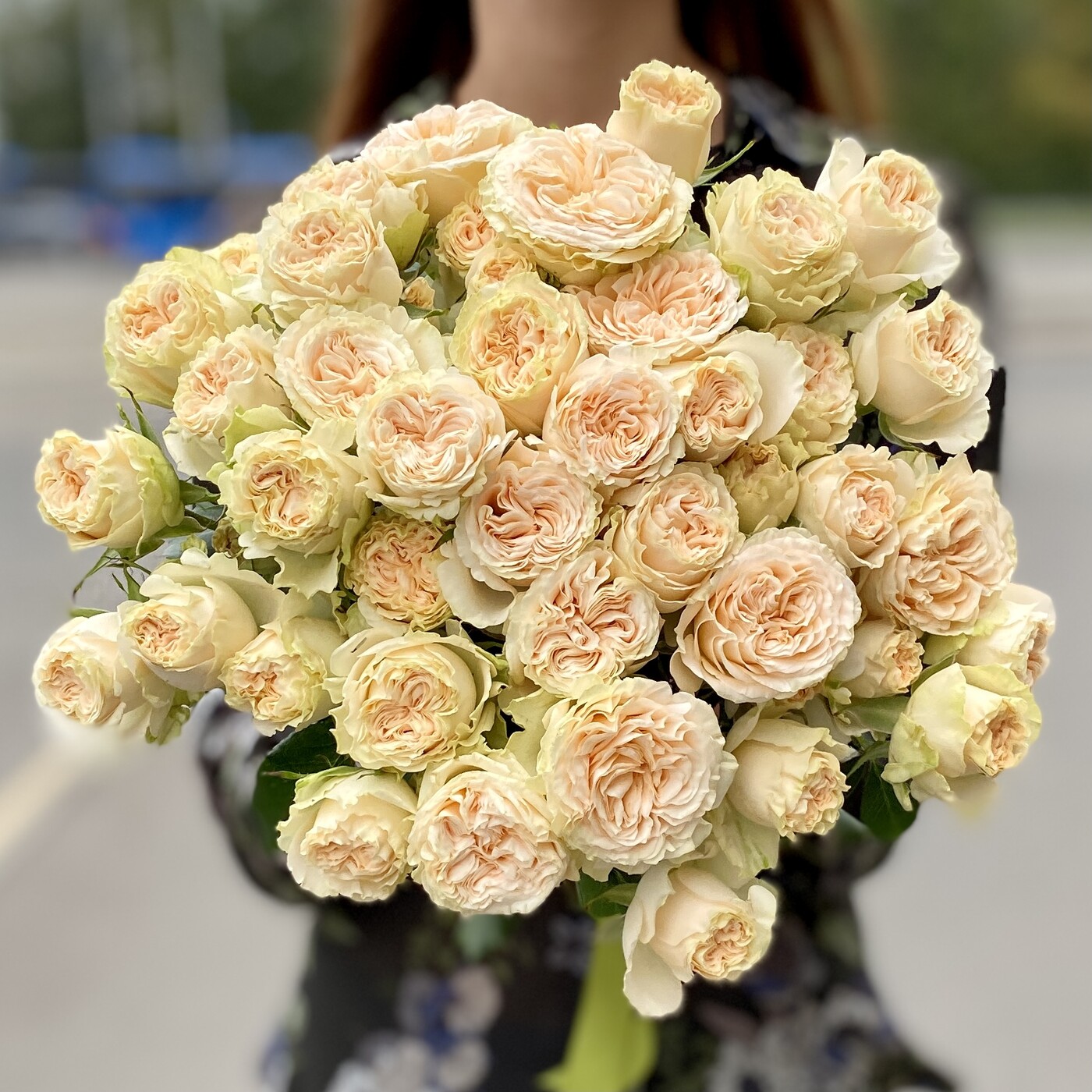 Картинка Роза кустовая Саммерроуз Кения