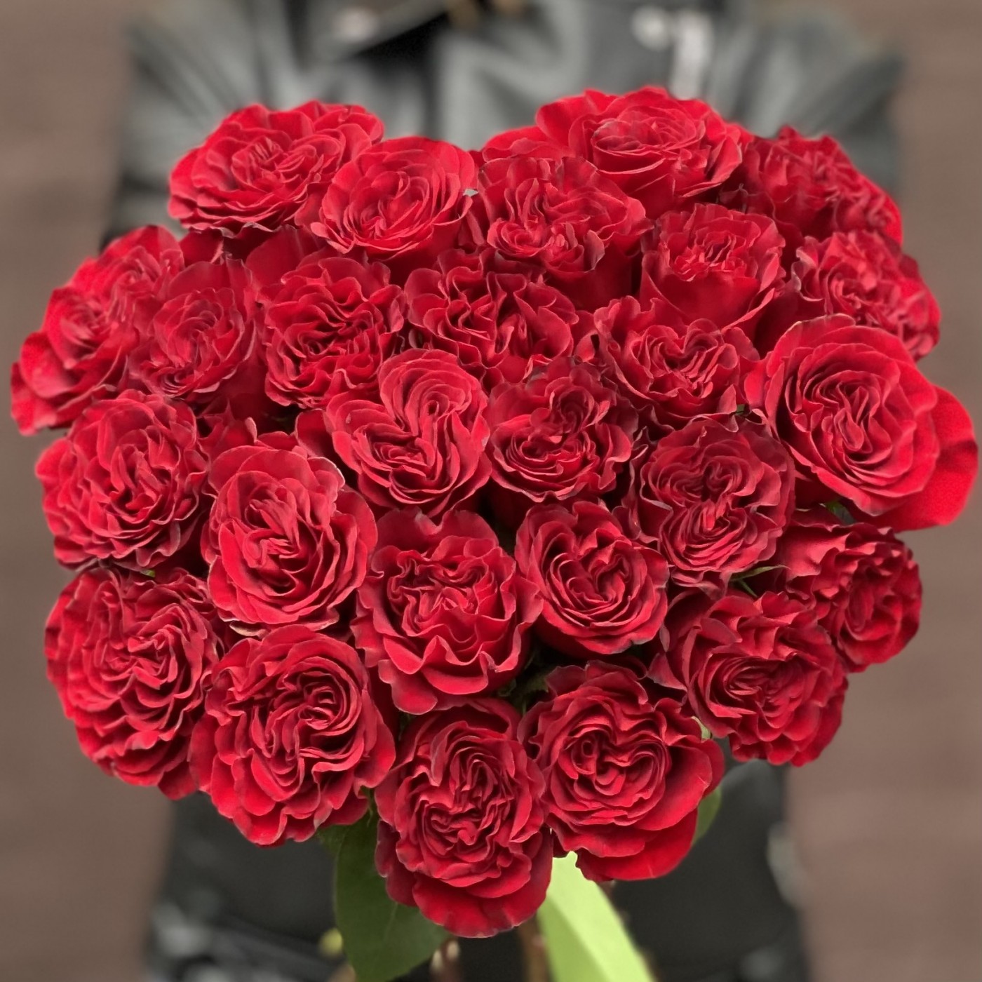 Картинка Роза Хартс