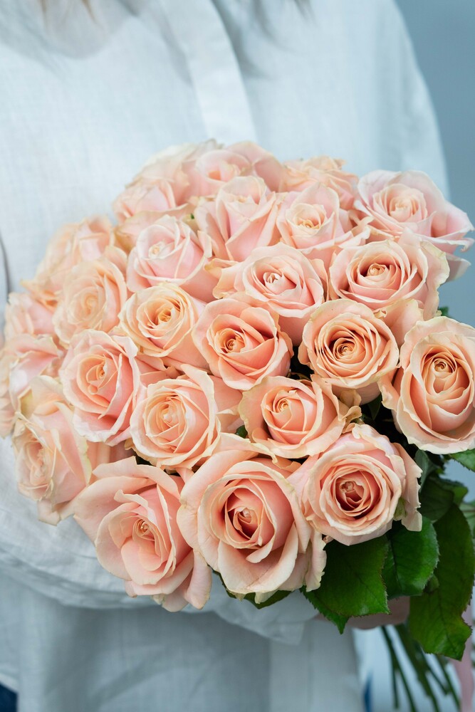 Картинка Роза Перл Аваланж