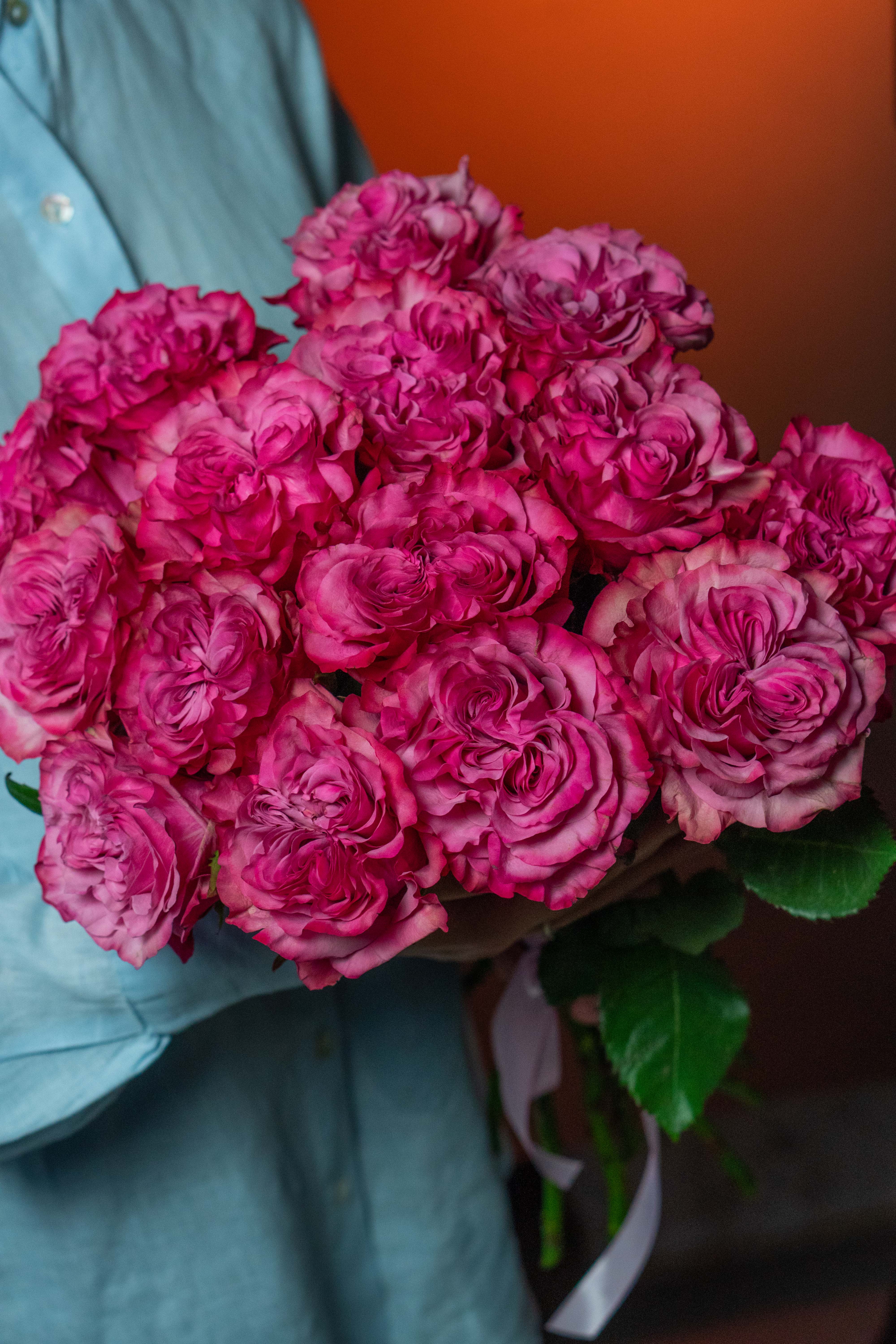 Картинка Роза Кантри блюз