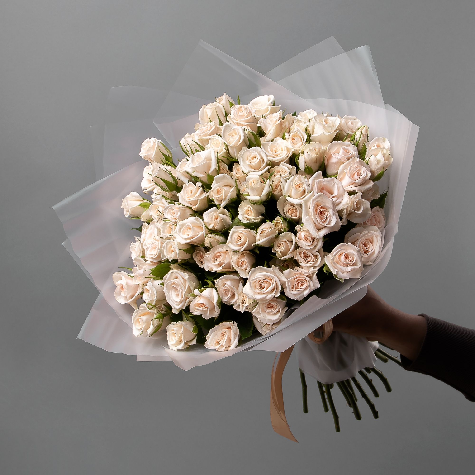 Картинка Роза кустовая Роял Порселина Кения