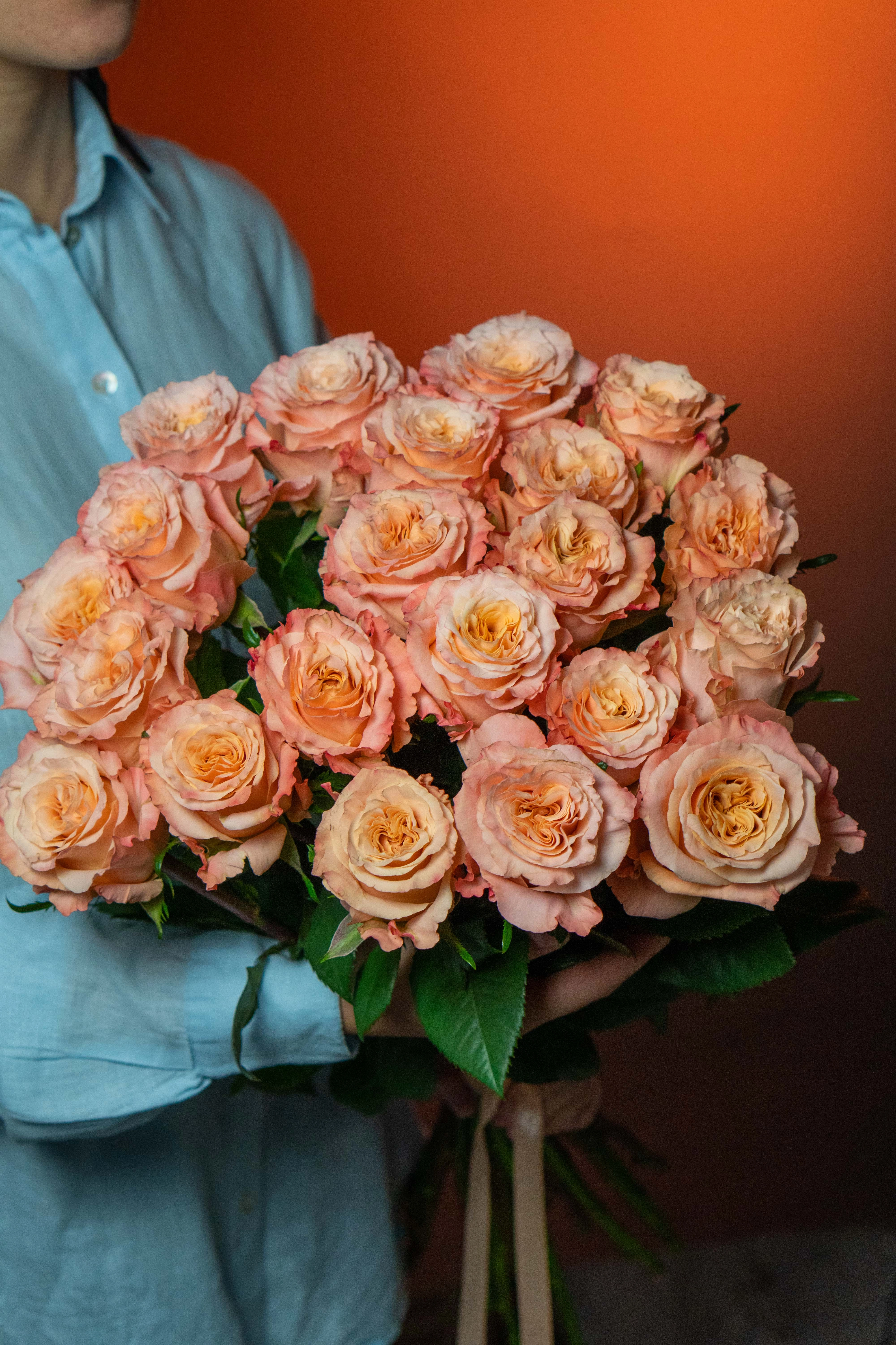 Картинка Роза Шиммер