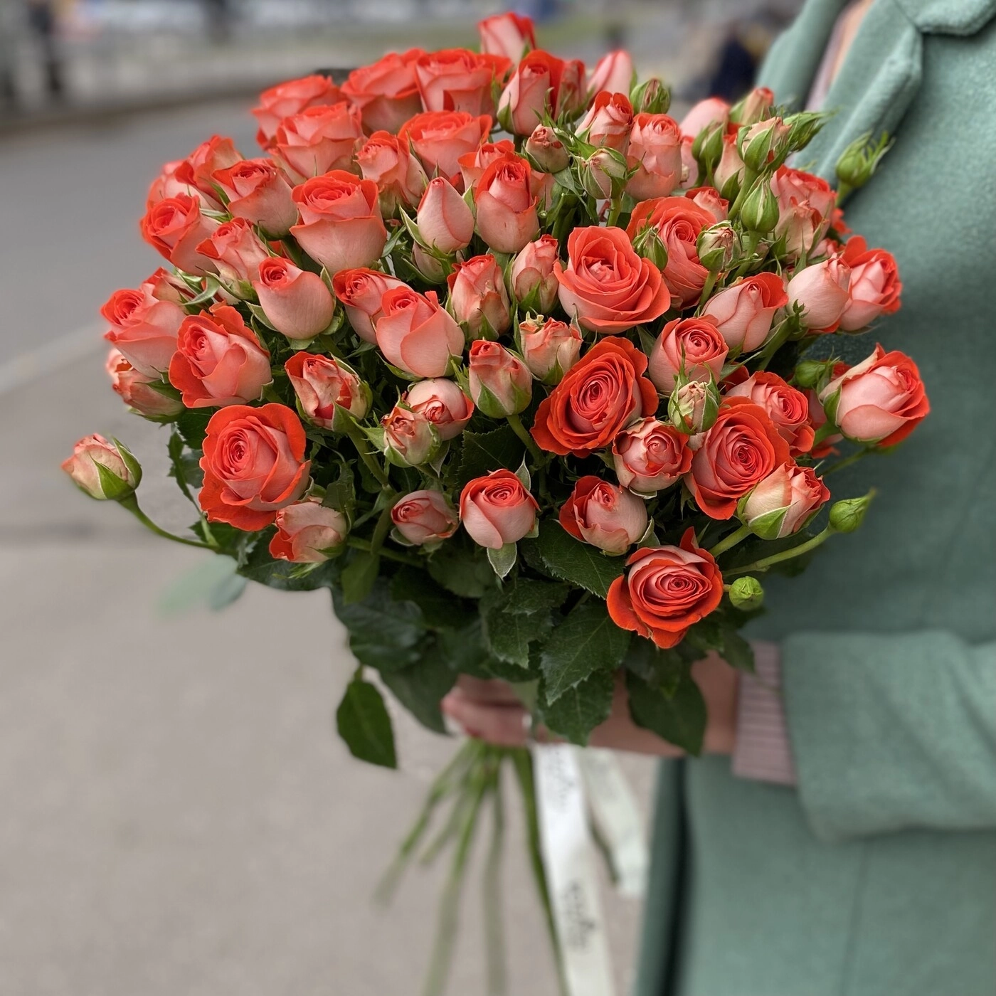 Картинка Роза кустовая Задик Кения