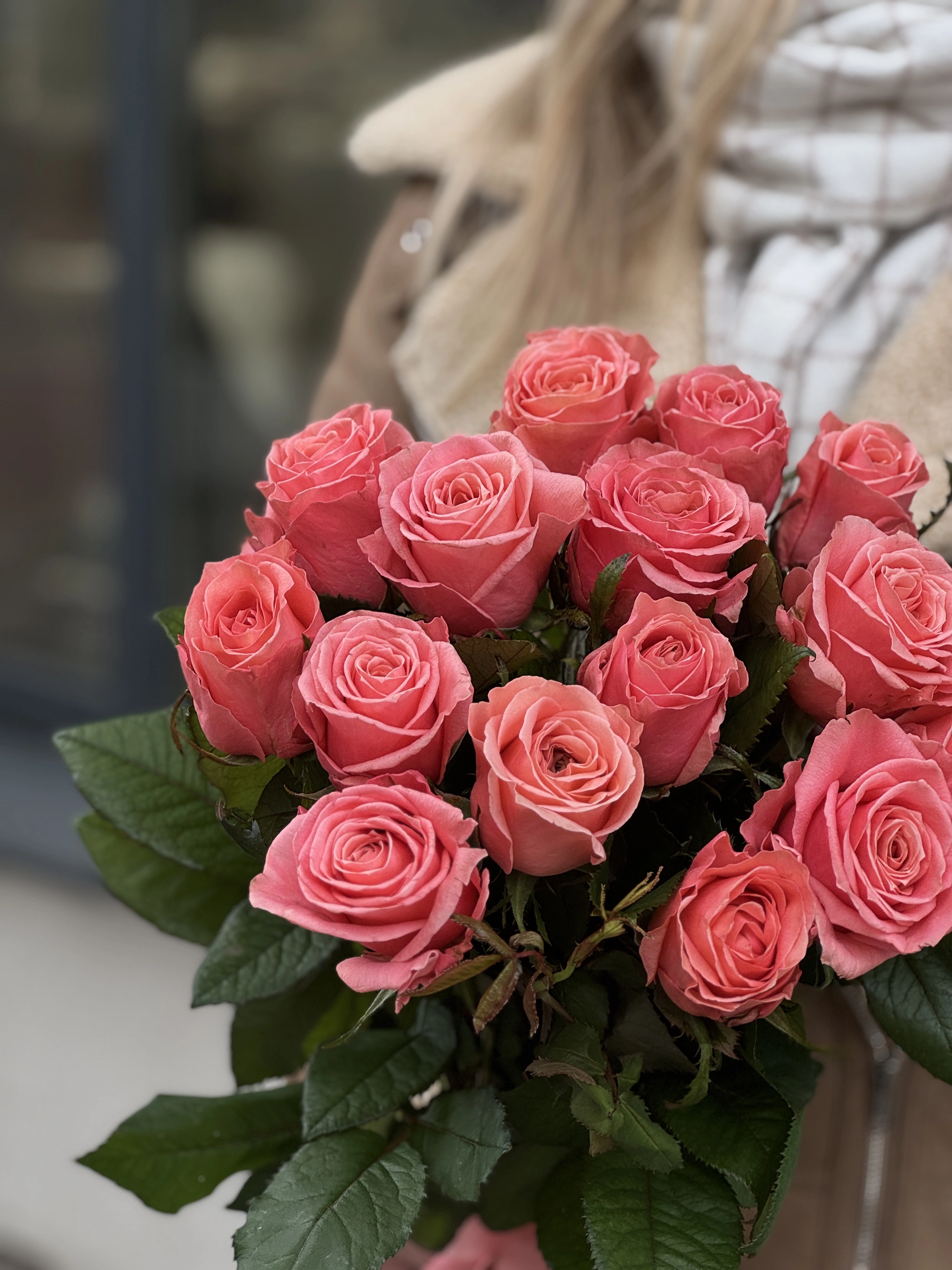 Картинка Роза Феруза