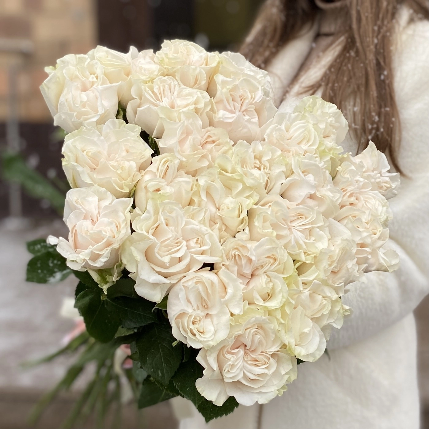 Картинка Роза Коттон Экспрешн