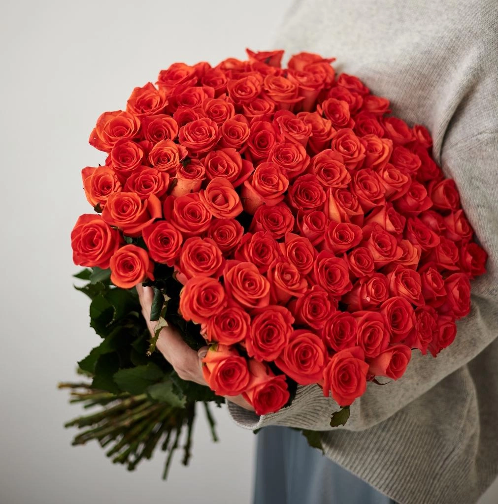 Картинка Роза Вов