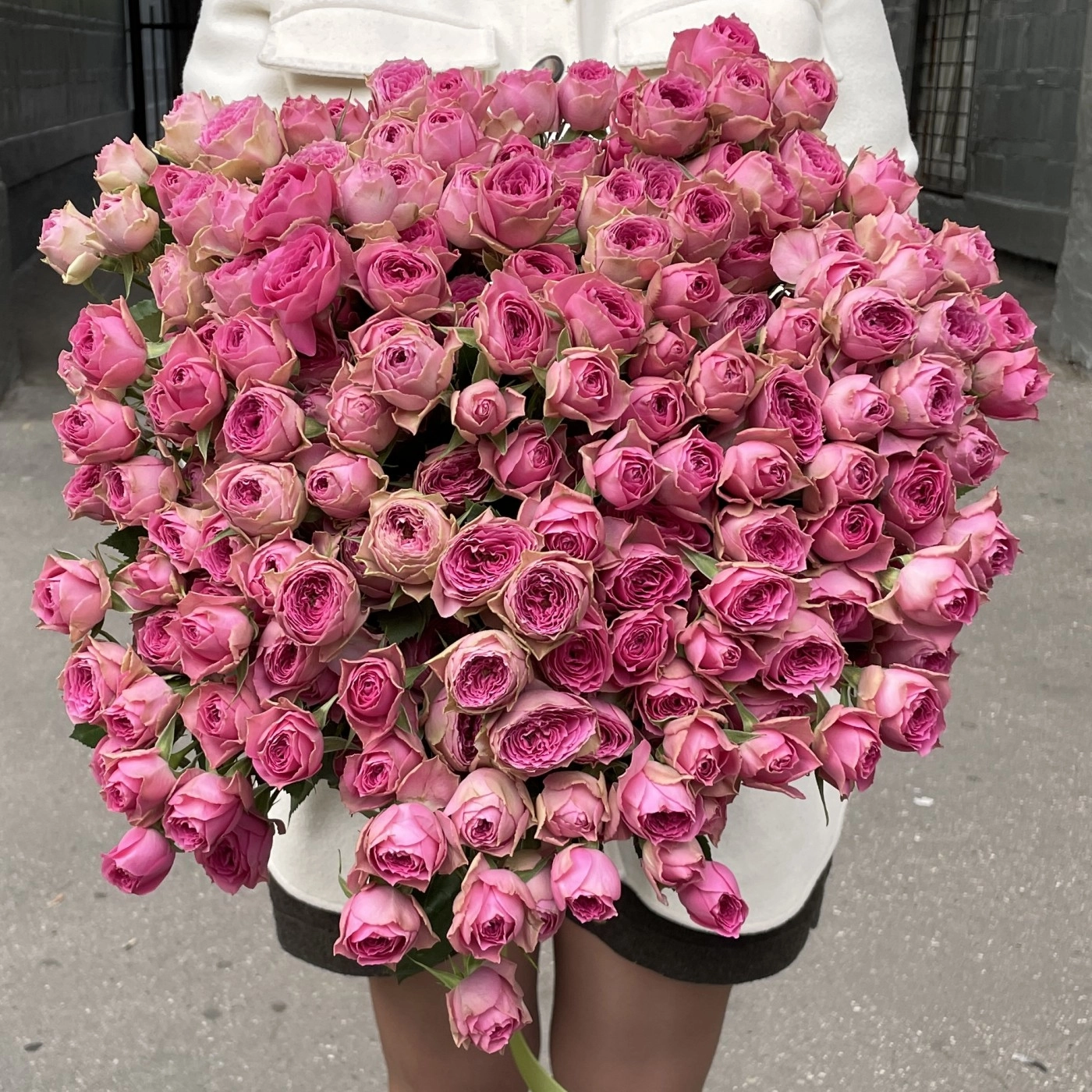 Картинка Роза кустовая Пинк Бижу