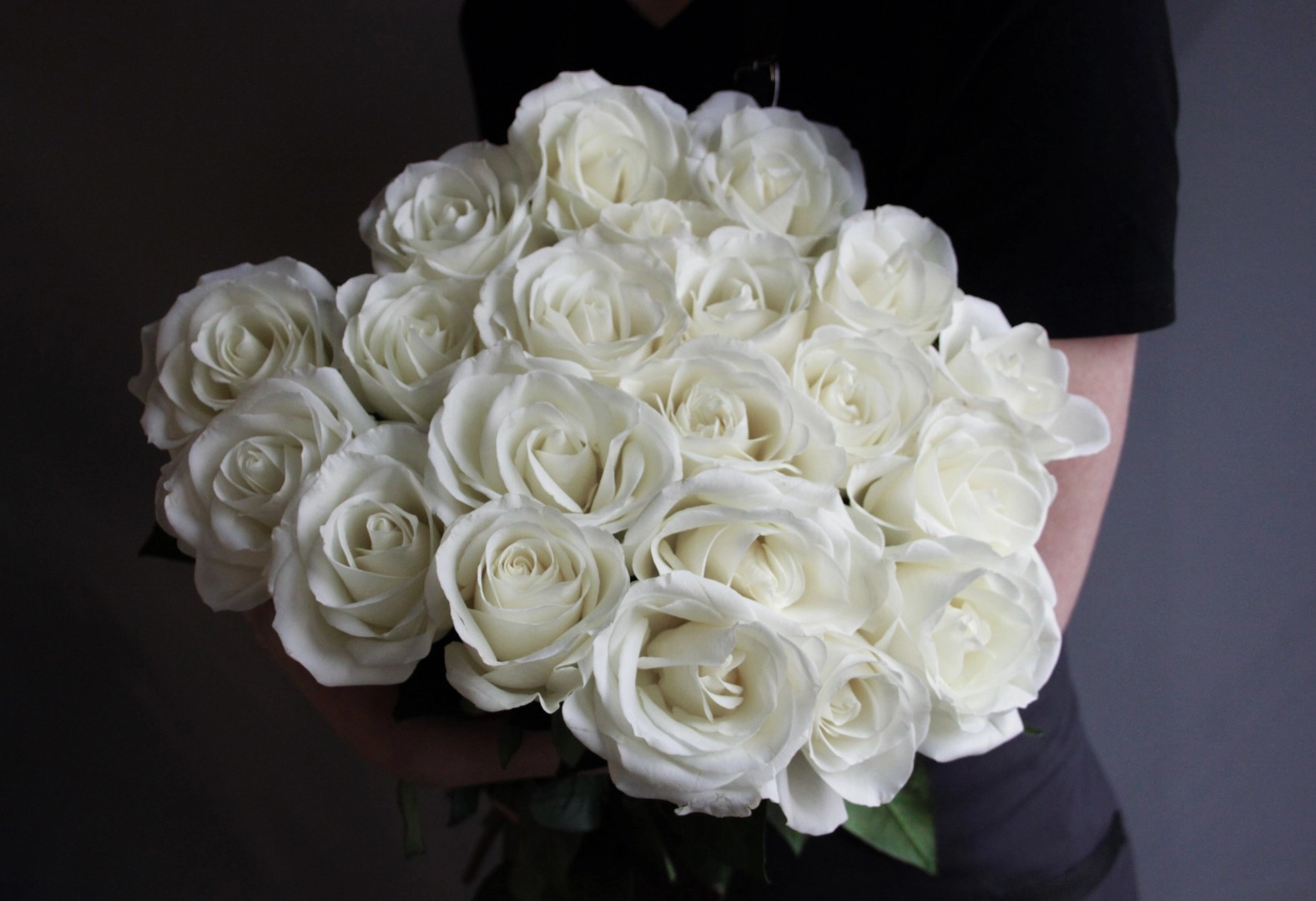 Картинка Роза Тибет