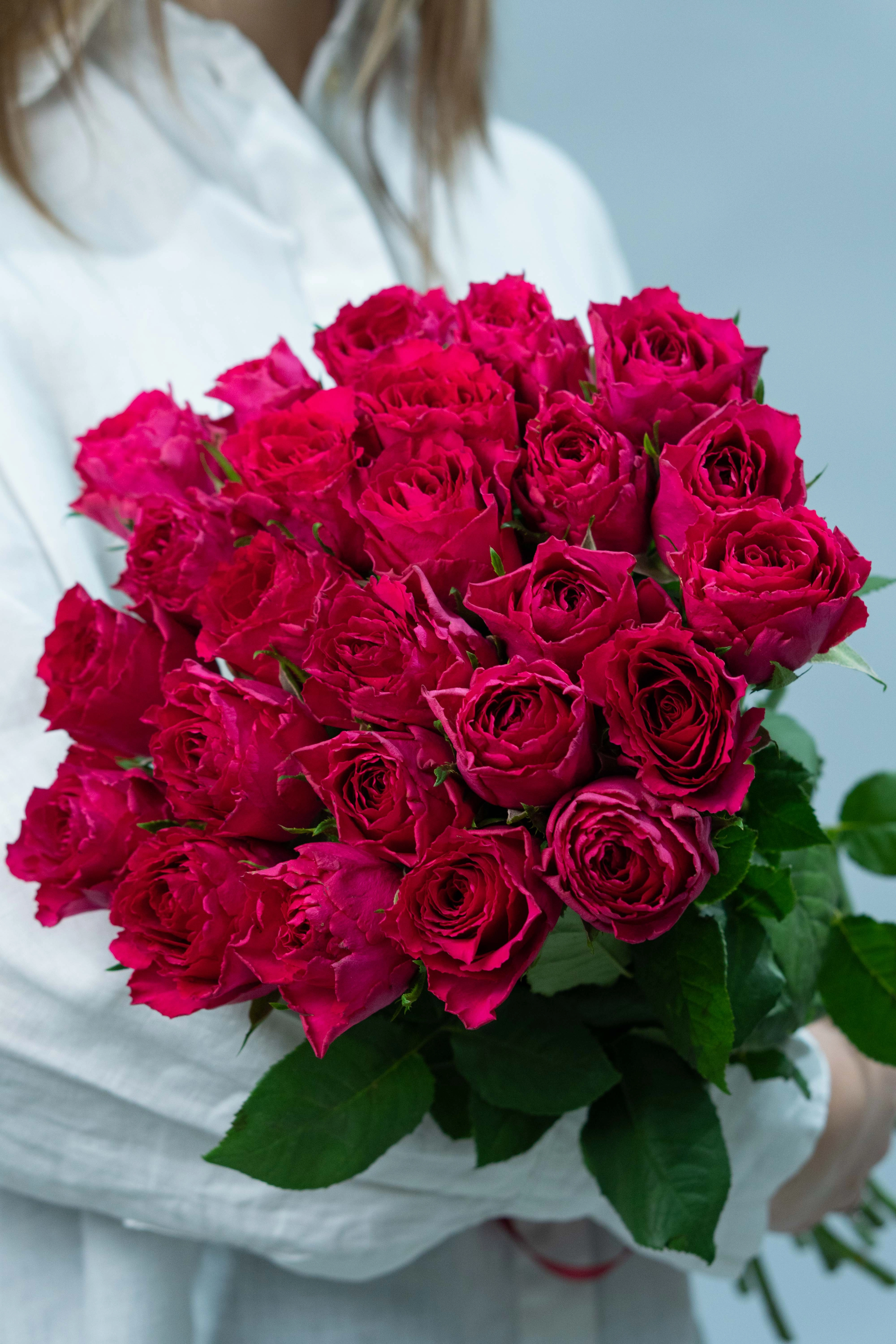 Картинка Роза Лейла