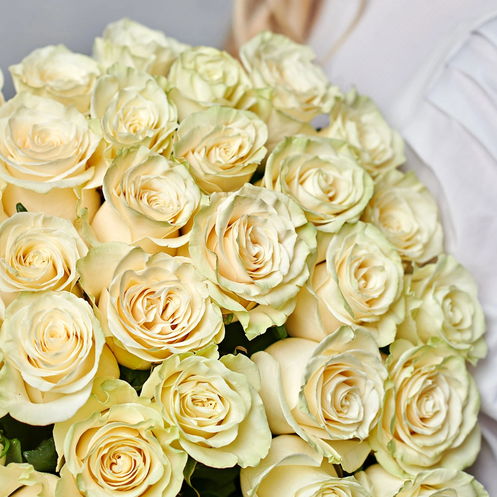 Картинка Роза Мондиаль