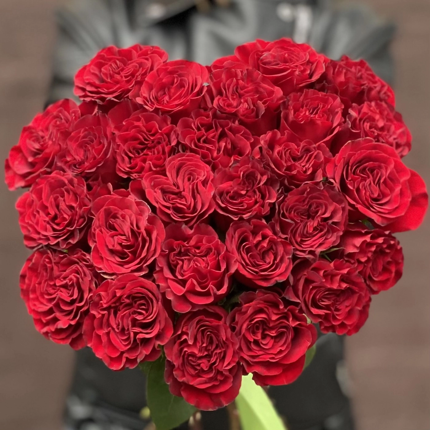 Картинка Роза Хартс