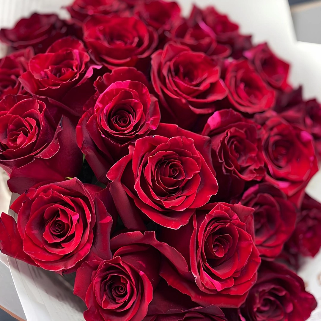 Картинка Роза Ред Пантера