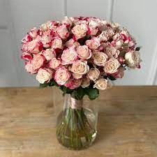 Картинка Роза кустовая Рефлекс Кения