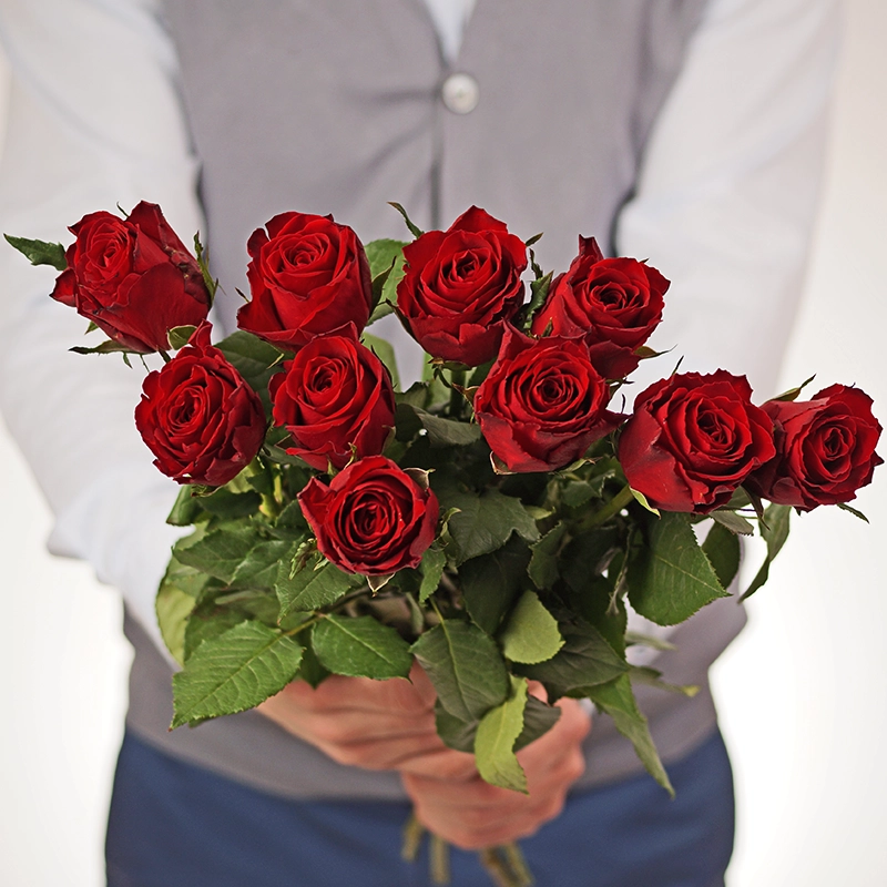 Картинка Роза Мадам Ред