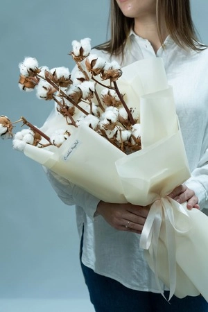 Картинка Букет из 5 веток хлопка