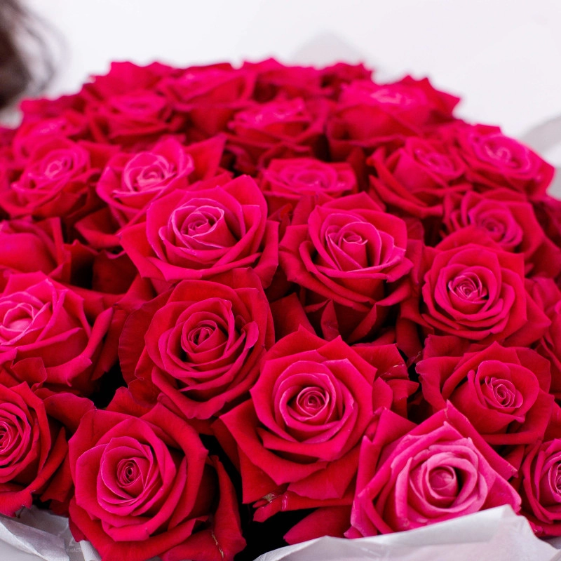 Картинка Букет из 51 розы сорта Шангрила 50 см
