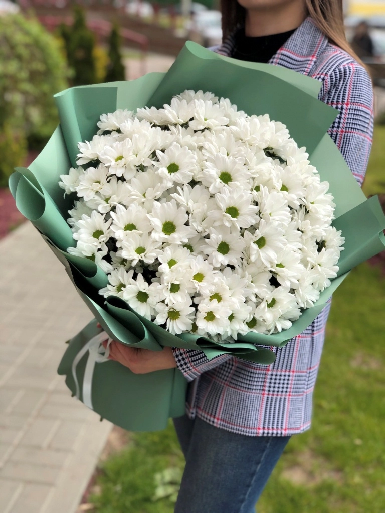 Картинка Букет "Амур" из 15 хризантем сорта Бакарди