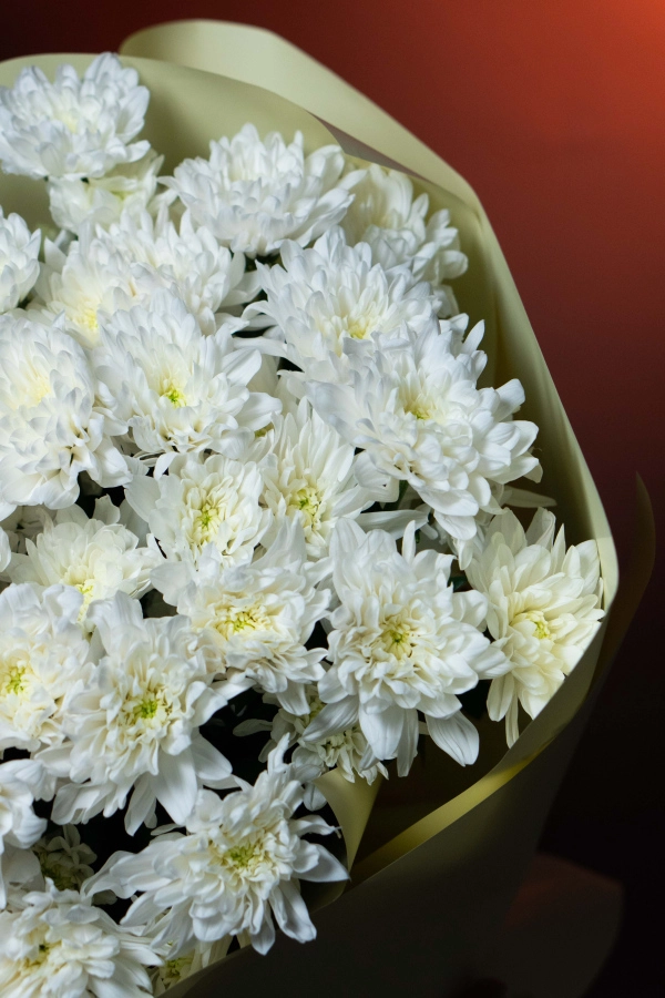 Картинка Букет из 13 хризантем "Нежное облако"