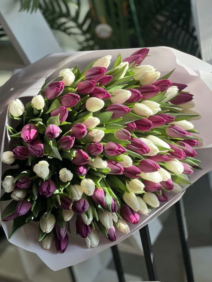Картинка Букет из 101 тюльпана  "Фиалка"