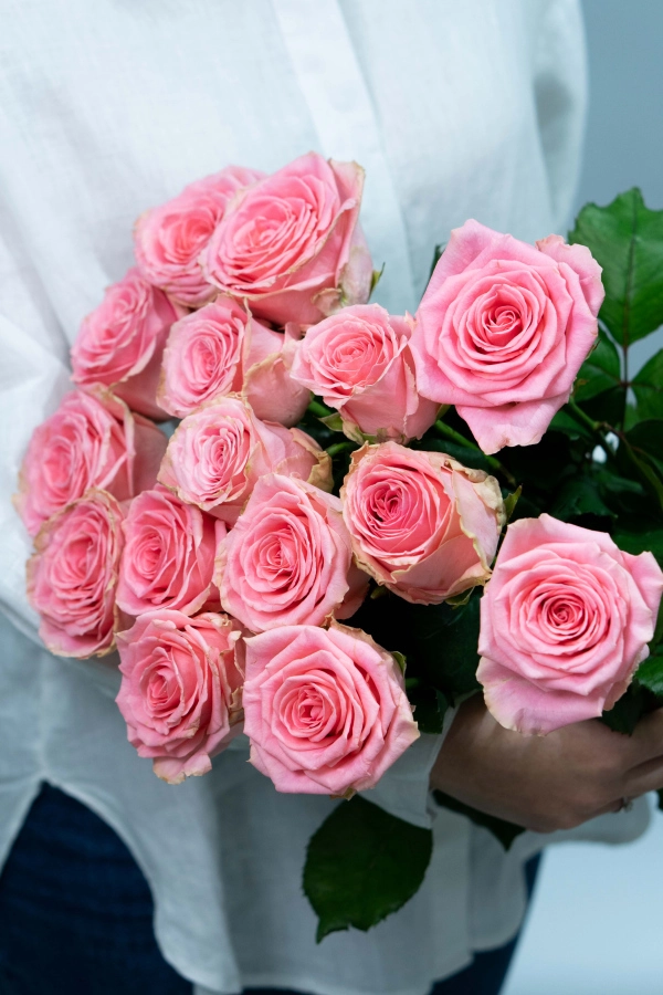 Картинка Букет из 15 роз Софи Лорен 70 см