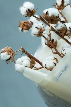 Картинка Букет из 5 веток хлопка