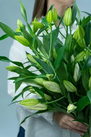 Картинка Букет из лилий "Облако"