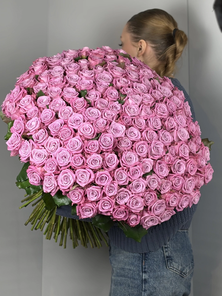 Картинка Букет из  151 розы Маритим 50 см