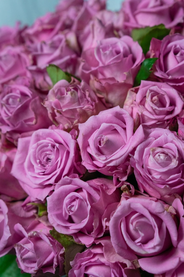 Картинка Букет из 31 розы "Эридан" 60 см