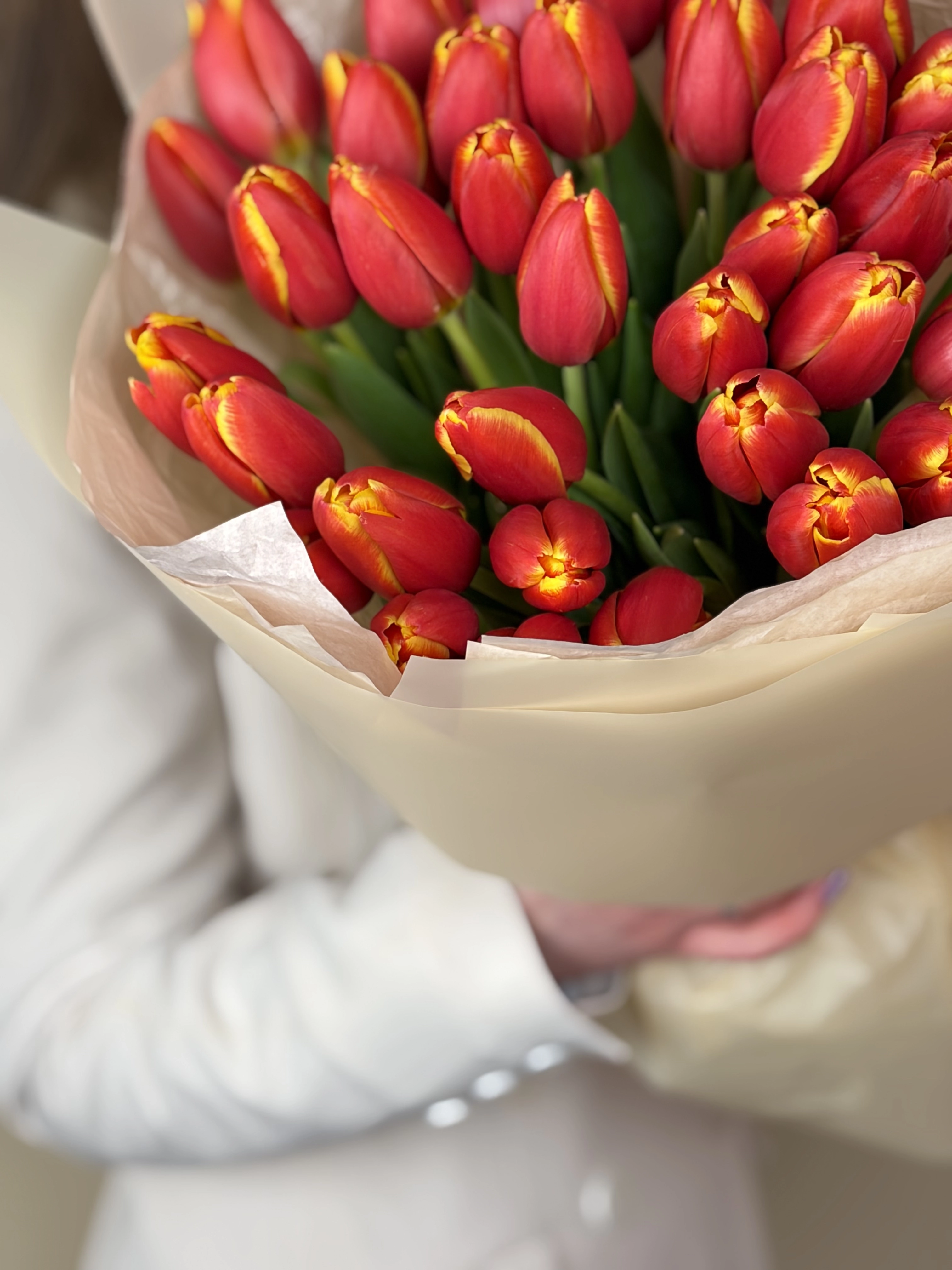 Картинка Букет из 35 тюльпанов  «Огненный Танец»