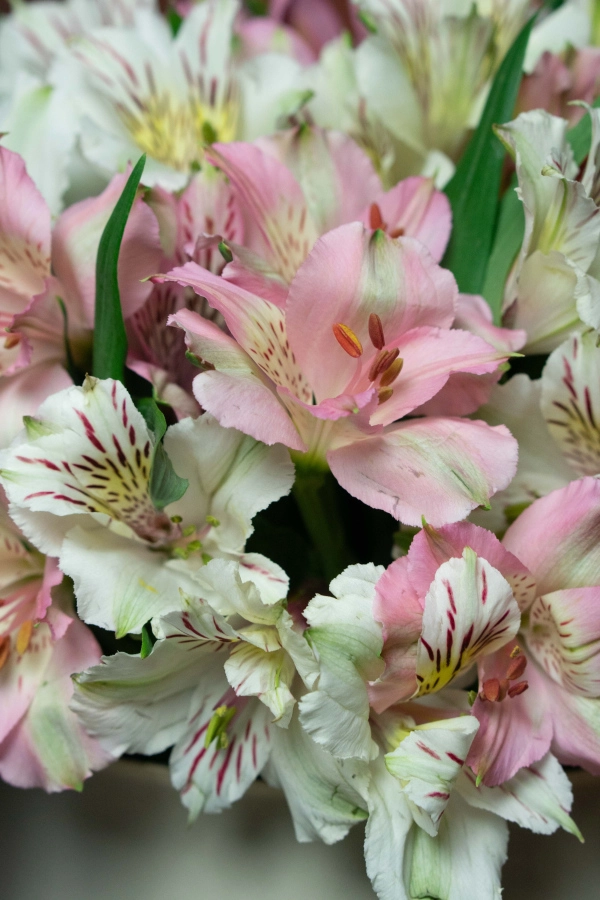 Картинка Композиция "Цветочный рассвет"