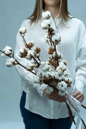 Букет из 5 веток хлопка "Натура"