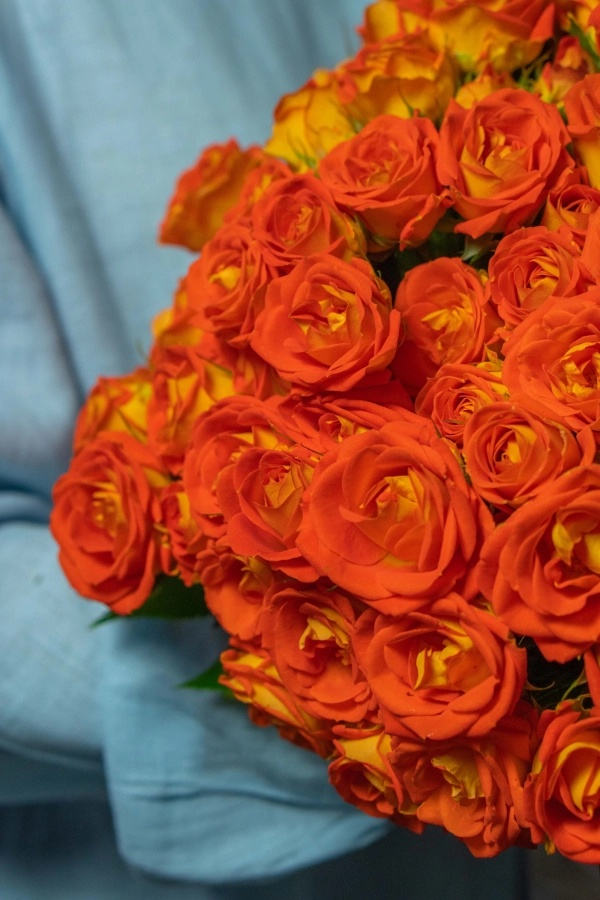 Картинка Букет из 19 кустовых роз "Акрополь" 70 см