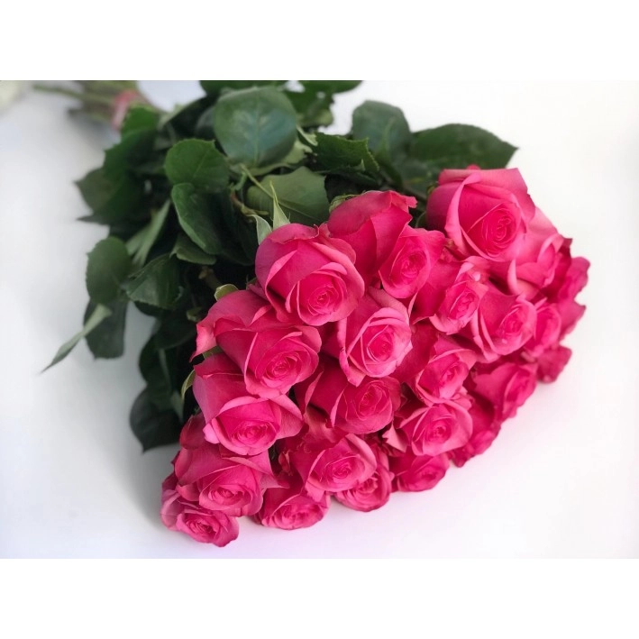 Картинка Роза Пинк Флойд