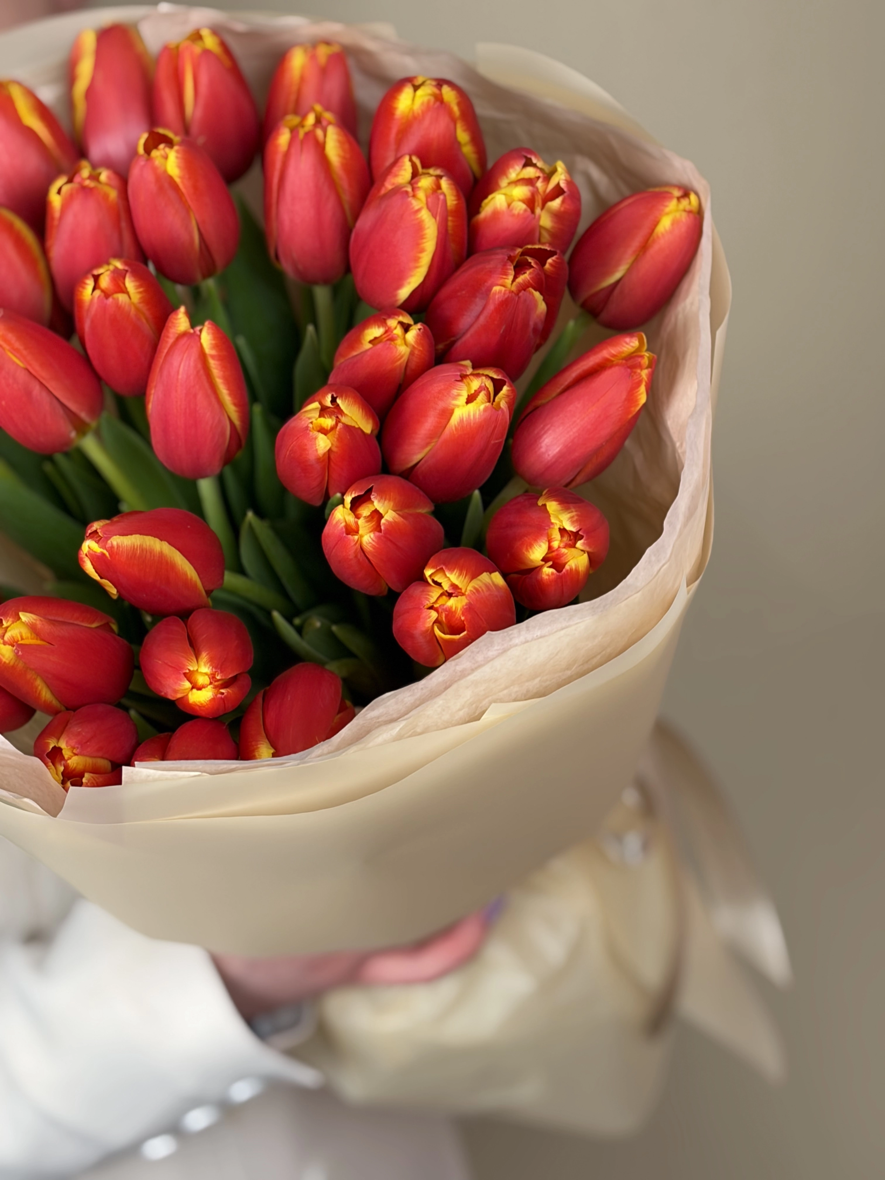 Картинка Букет из 35 тюльпанов  «Огненный Танец»