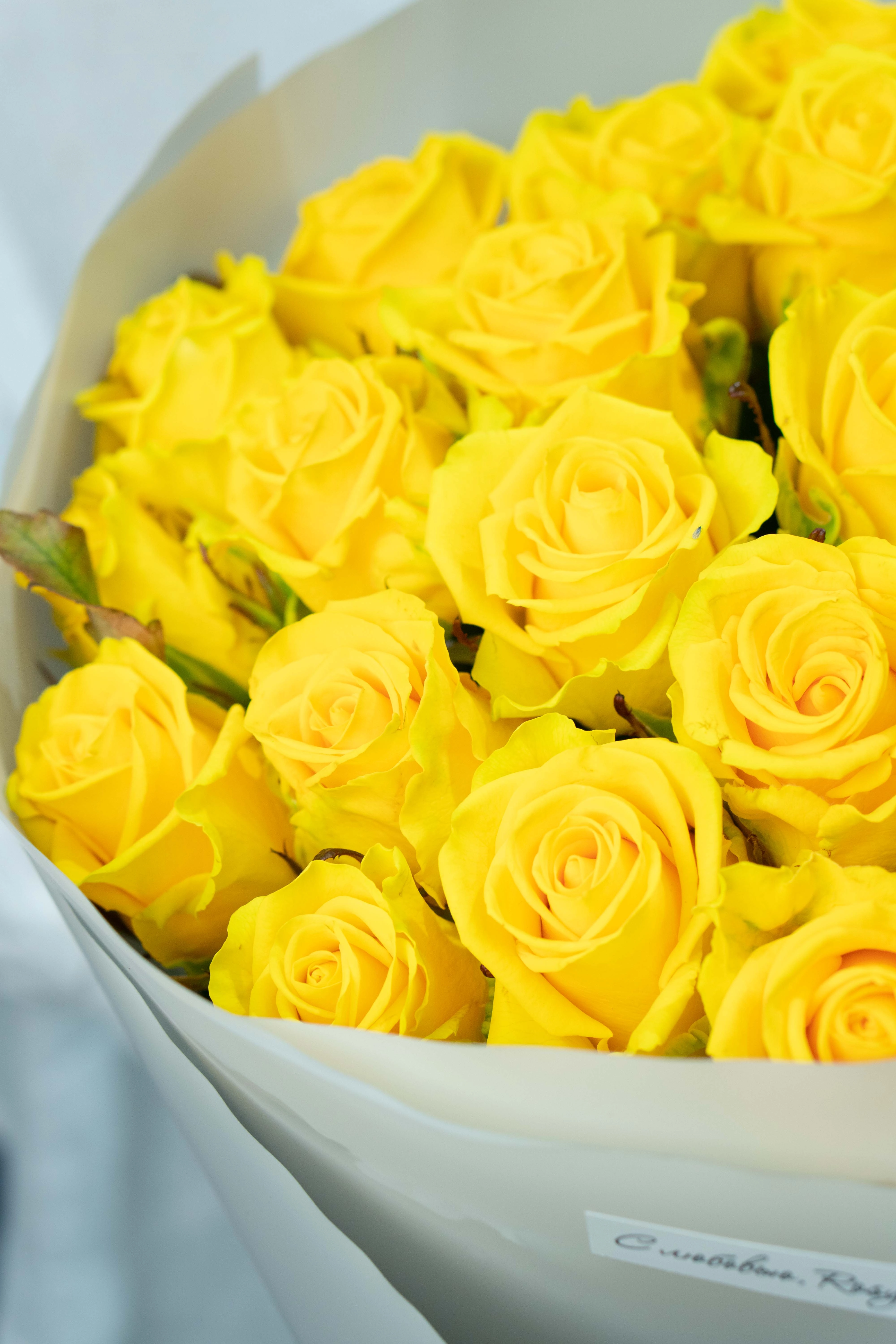 Картинка Букет из 25 желтых роз "Париж" 40 см