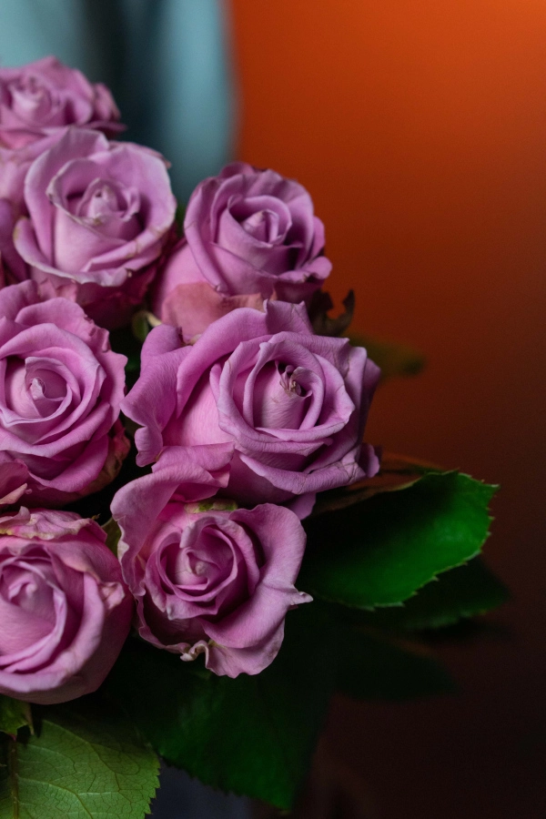 Картинка Букет из 23 роз сорта Маритим "Прага" 50 см