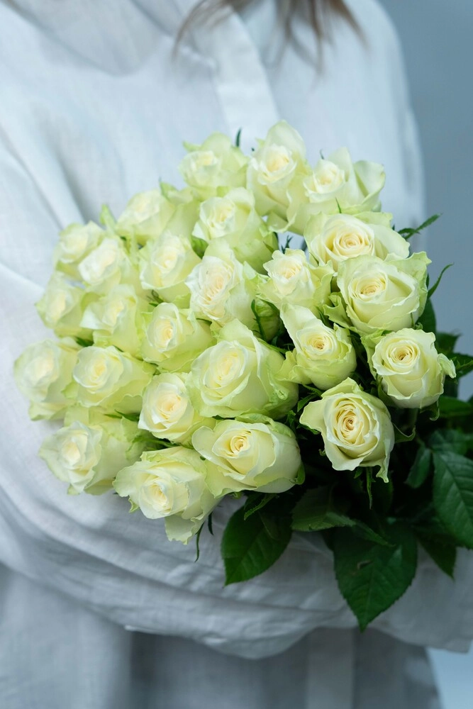 Картинка Букет из 25 белых роз Кения 40 см