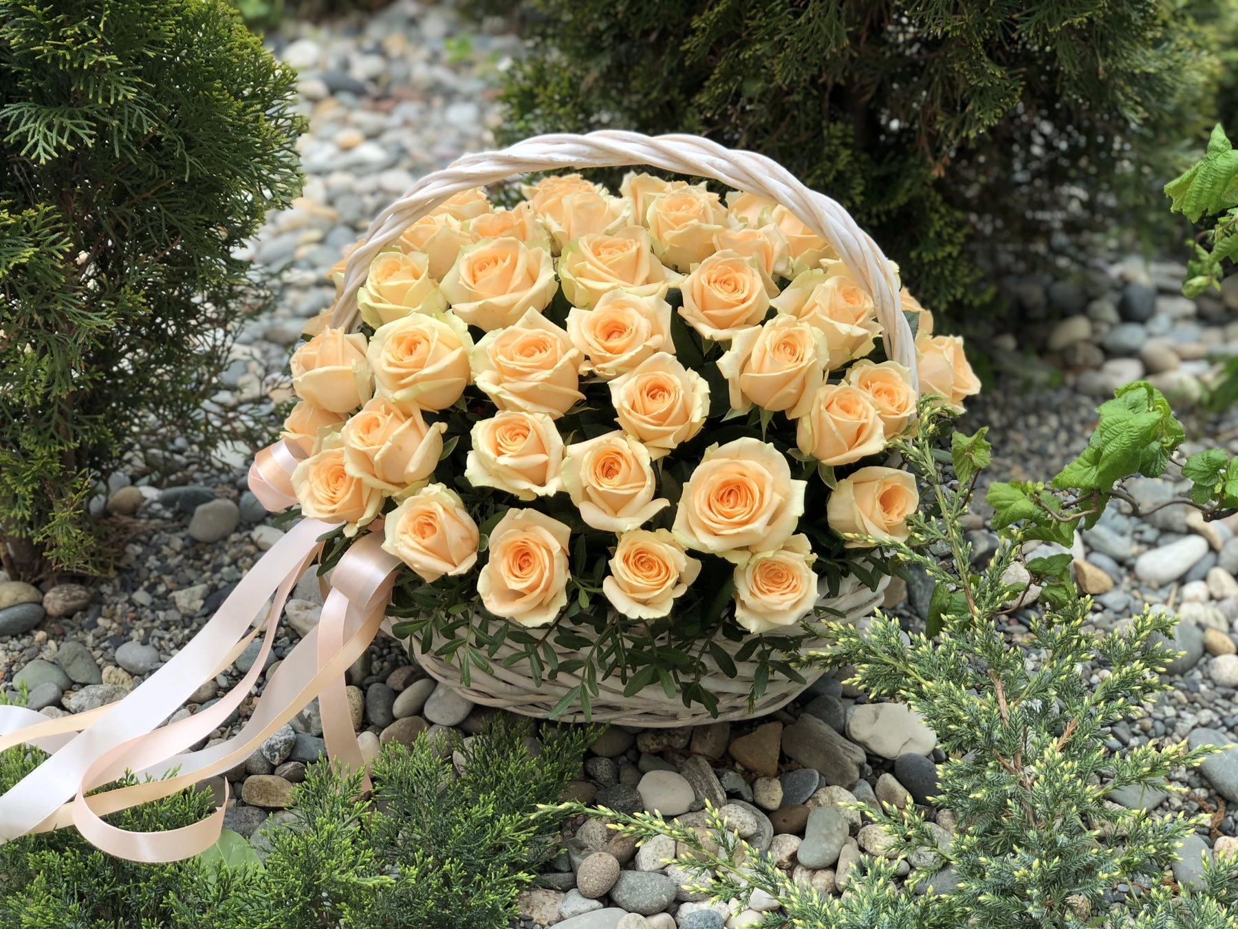 Картинка Корзина из 51 персиковой розы