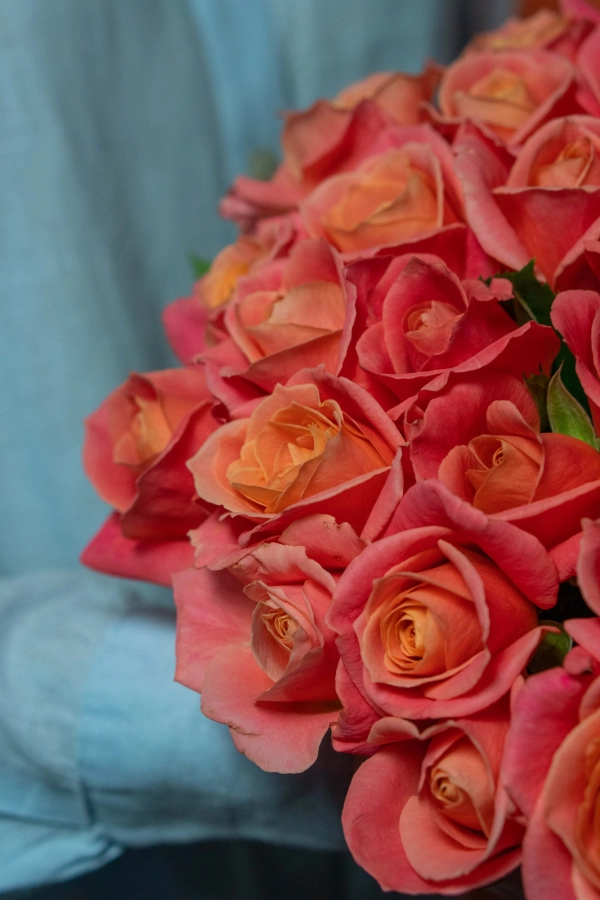 Картинка Букет из 27 роз Мисс Пигги "Зефир" 40 см